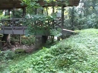 Manastirea Trivale (documentar)