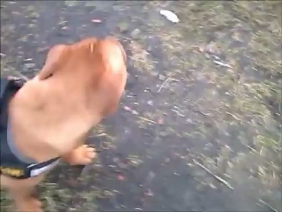 Jaimy&Neele mit Musik