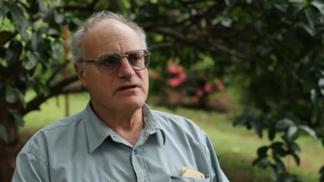 Conservationists warn lions could become extinct in Kenya