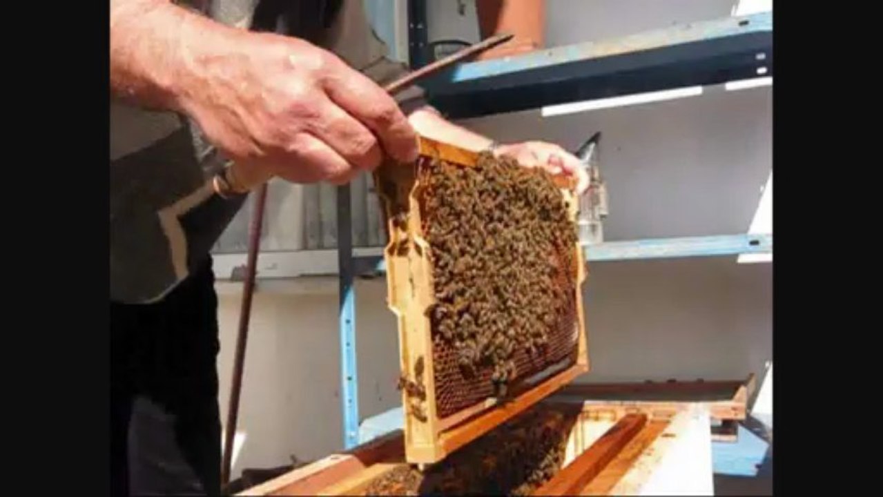 2013 2 nisan balkon görüntüleri