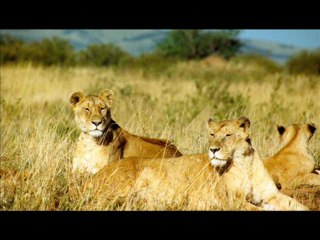 esma ül hüsna dinle_miziksiz-seslendiren Mustafa Çavdaroğlu