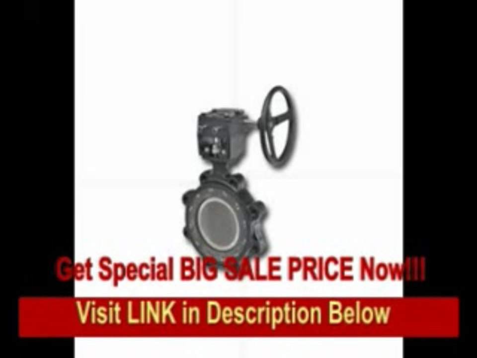 [SPECIAL DISCOUNT] Butterfly Valve