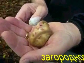 сладкий сон