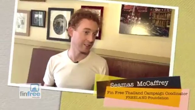 VNR Shark Fin 3 Min V3