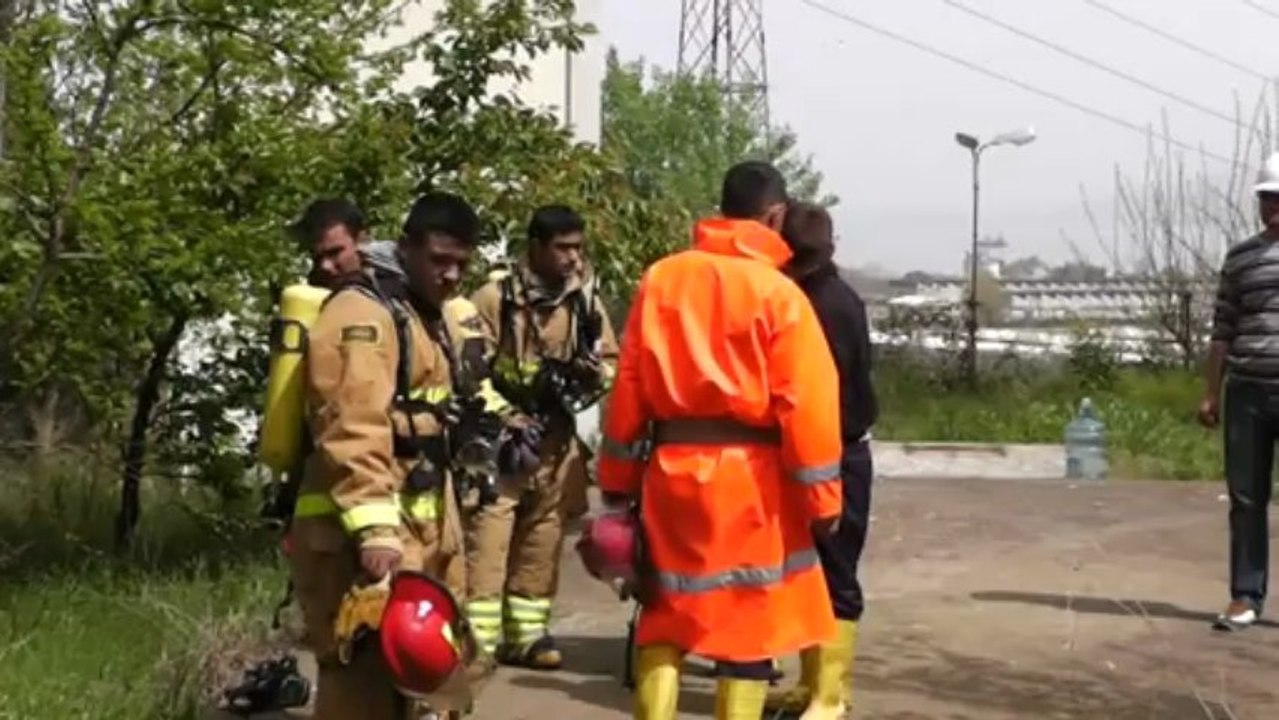 Yalova'da Yangın
