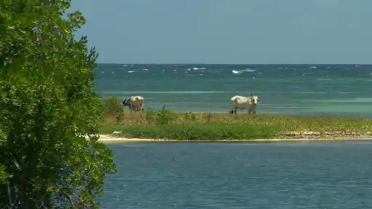 La minute du jour de la Transat Bretagne martinique