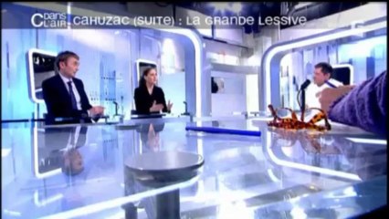 .: Le Parti Pirate peut assurer une rénovation du pays :.