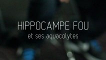 Hippocampe Fou, Céo et Deska - Aqua Rencontre et Aqua Freestyle !