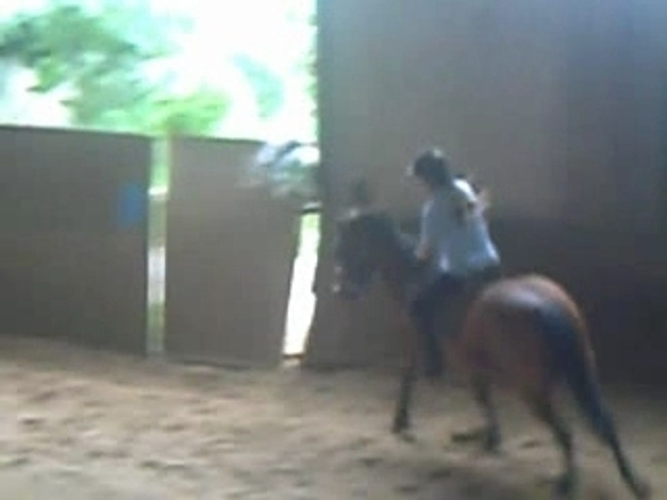 Les chevaux ma viE