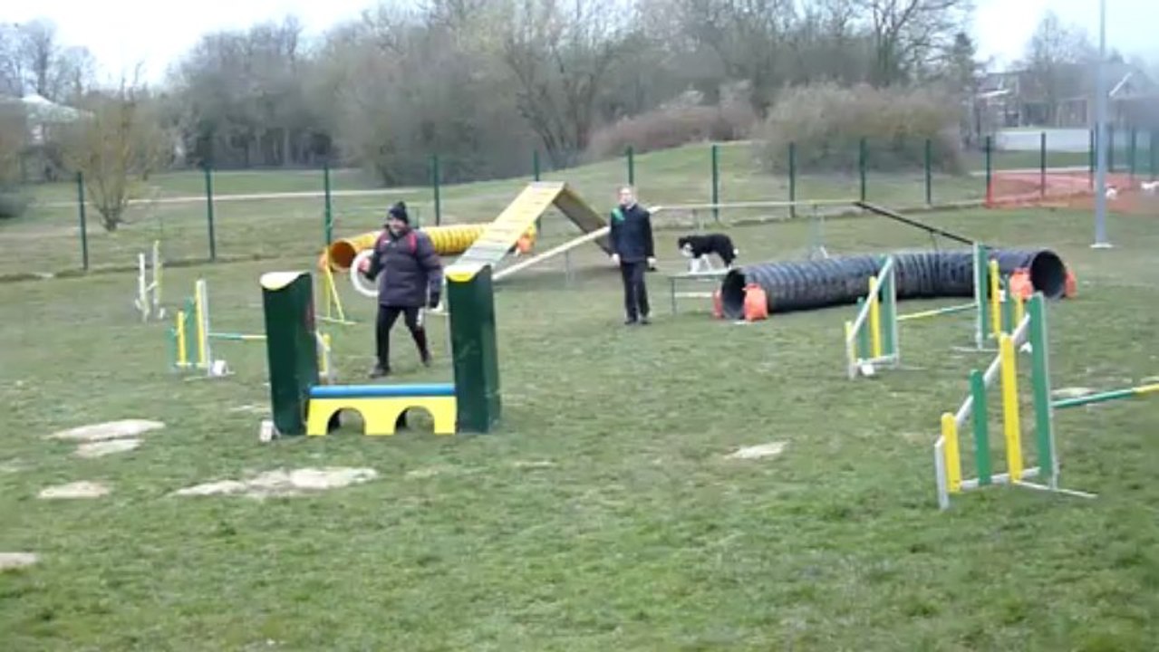 Entrainement d'agility 05/04/13