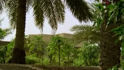 Крепость Бахрейн. Жемчужина Персидского Залива