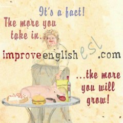 Learn English: "if /  would" Practice how to use "if / would" in sentences Intermediate Level