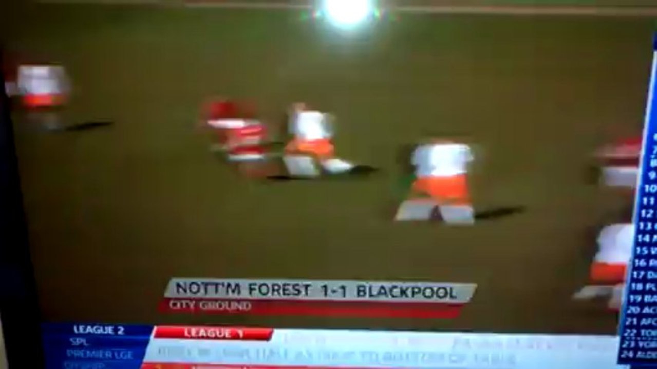 forest vs pool