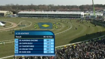 06.04.2013 Aintree (GB) 5.Race John Smiths Grand National Handicap Chase 2013 -  Group III 7.141 m