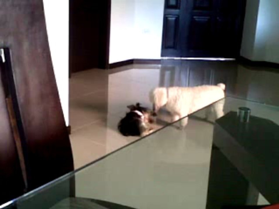 VID 00040-20130314-1510