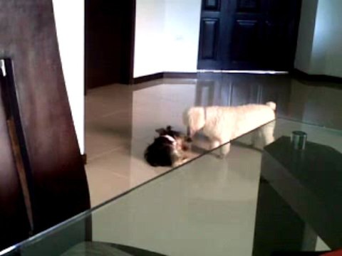 VID 00040-20130314-1510