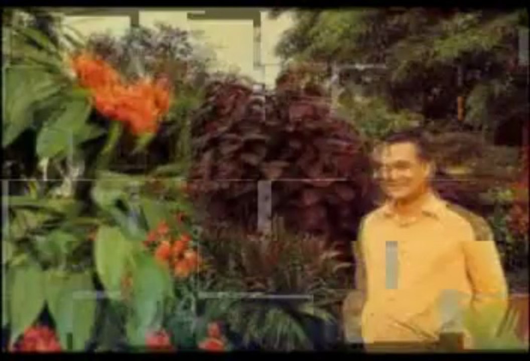 AABAD RAHO  -  Mukesh