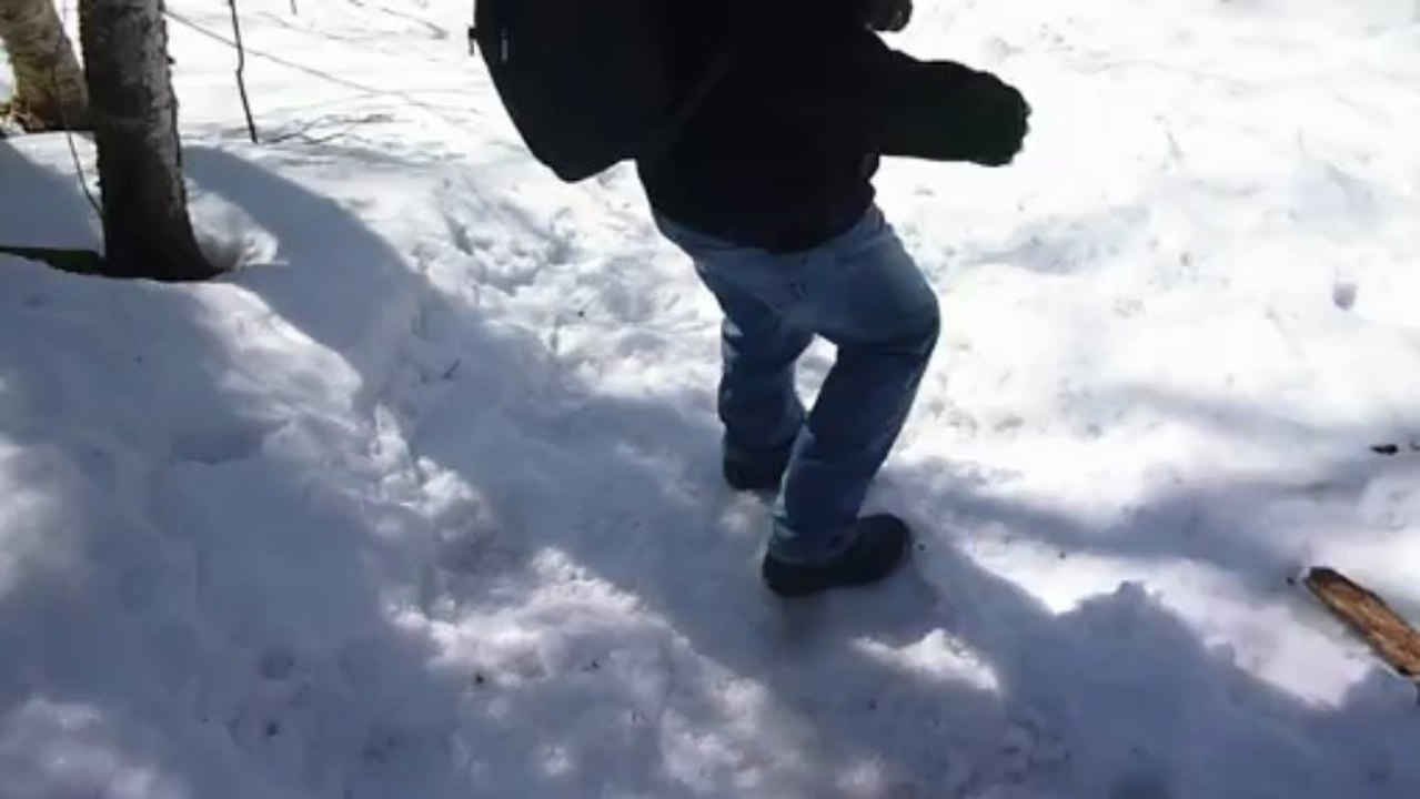 glissade greg