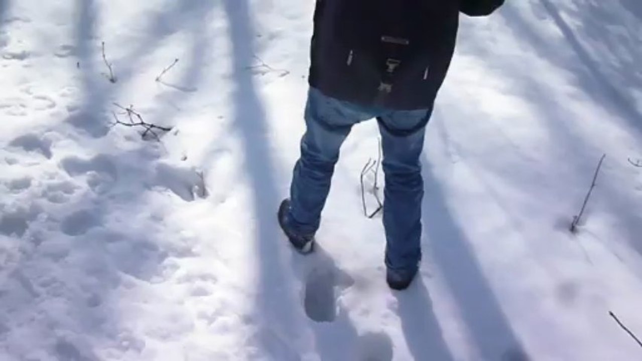 saut dans la neige