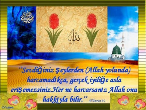 Her Gün Bir Ayet / Hadis