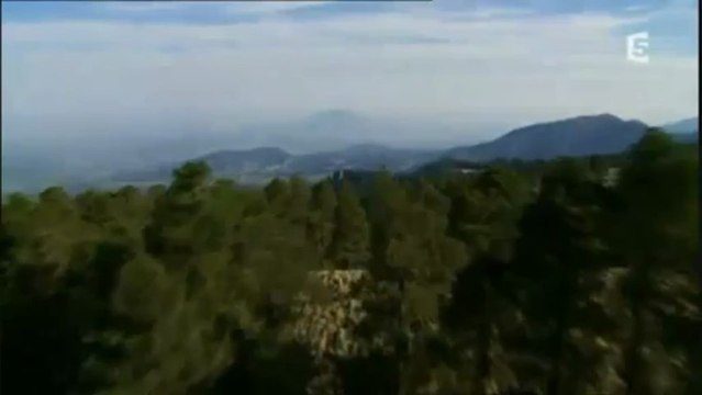 Les hommes se prennent-ils pour dieu les chroniques de l'amiral by habibal