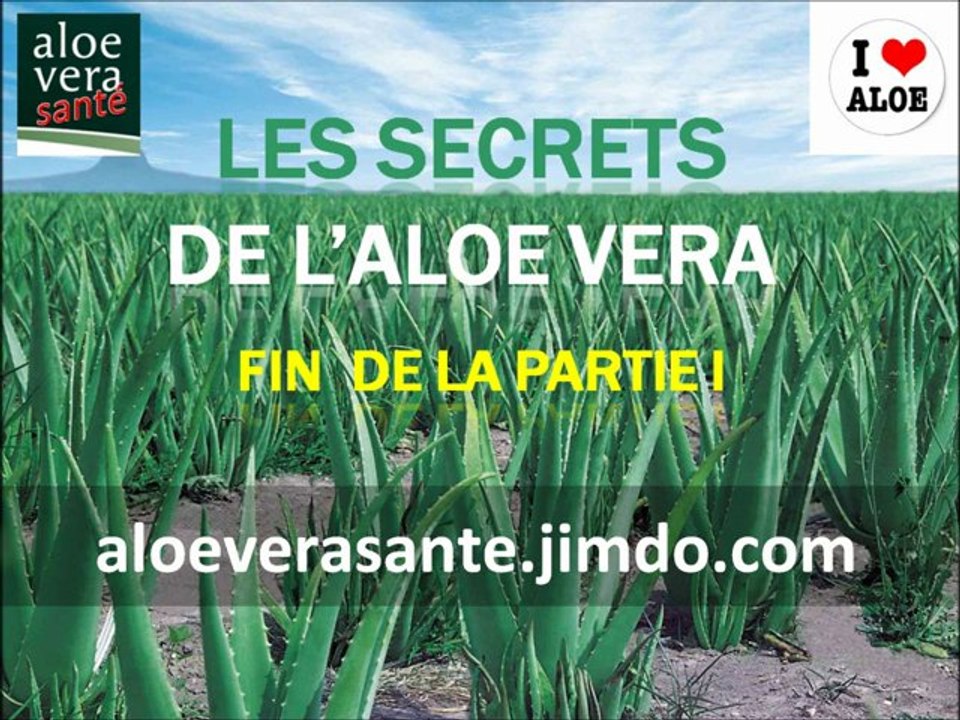 Les secrets de l'aloe vera partie I: Histoire et qualité par aloeverasante