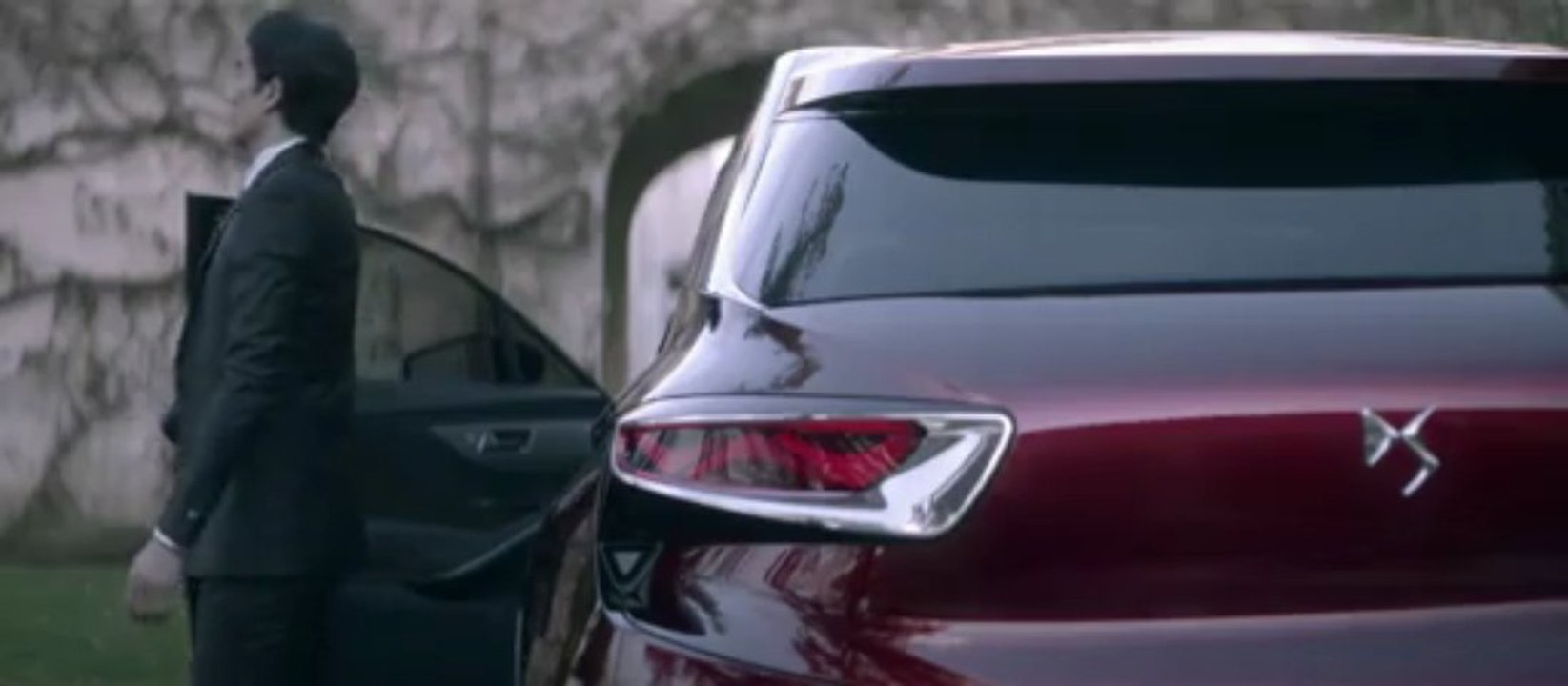 DS WILD RUBIS CONCEPT