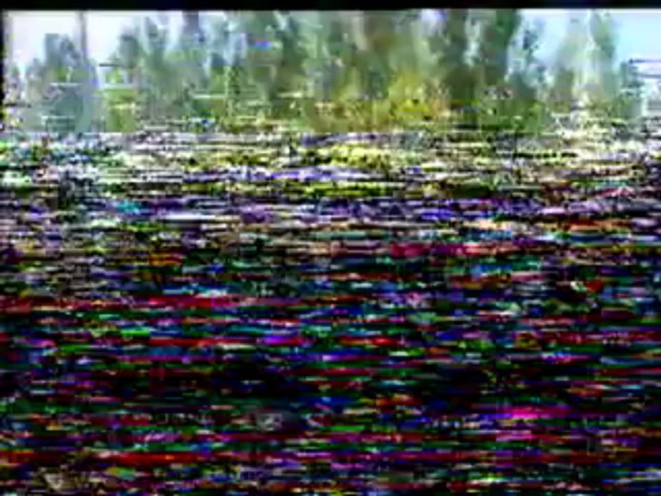 fbvideo