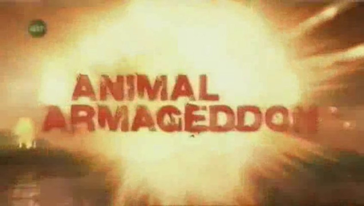 S01/E04 - Animal Armageddon: Panic In The Sky