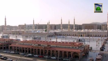 Islamic Program - Misconception EP#01 - Taqleed (To Follow Authentic jurist)