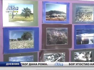 Dnevnik, 06. april 2013.