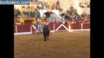 EXITOSO FESTEJO DE REJONES EN ALMENDRALEJO