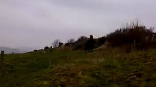 VID-20130407-00000