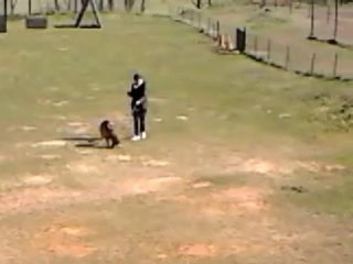 Haltesse mordant RCI