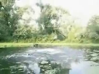 Des chutes en chansons 1