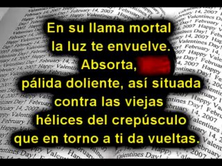 Poemas de amor - www.cartasdeamor.me