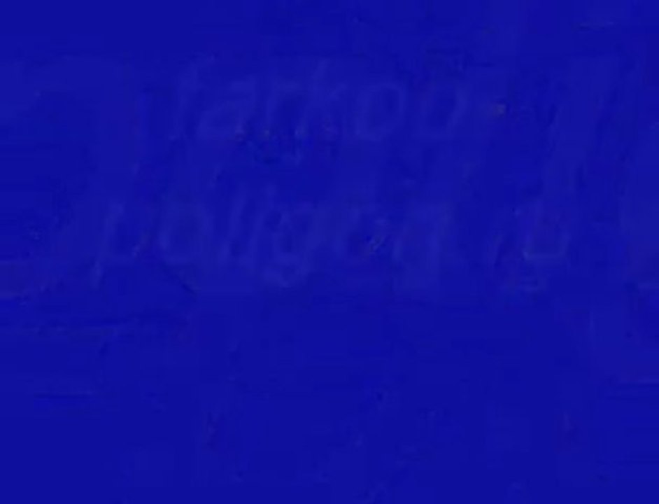 Защита дифферинциала Ford Kuga