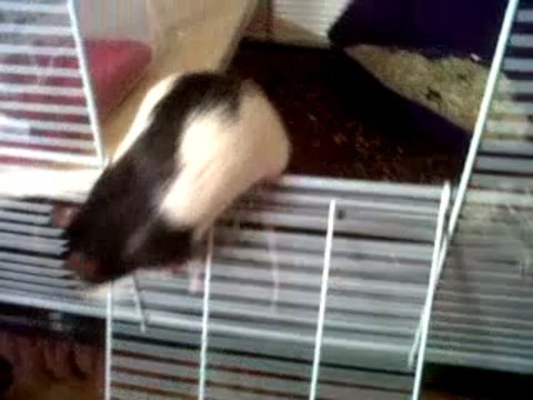 VID 00050-20130331-1410