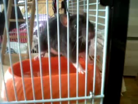 VID 00052-20130331-1429