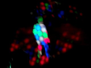 futur michael jackson