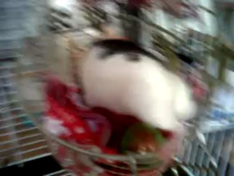 VID 00051-20130331-1418