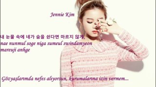 Lee Hi-Special ft. Jennie Kim Türkçe Altyazılı(Hangul-romanization-turkish sub)