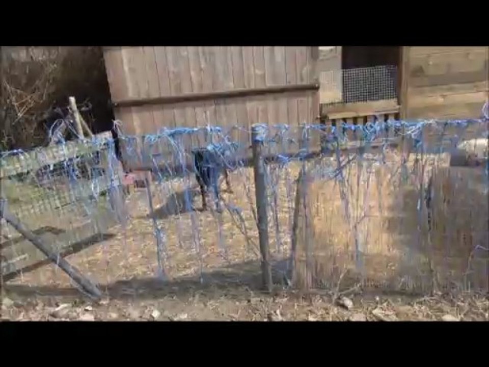 Empreinte 07-04-2013