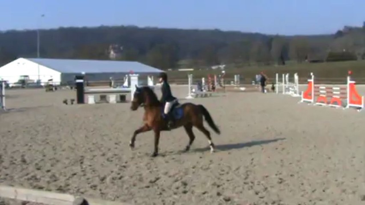Saphir GP 105cm(GR) _Chambly (7.04.2013)