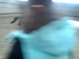 Petits poney du Findez