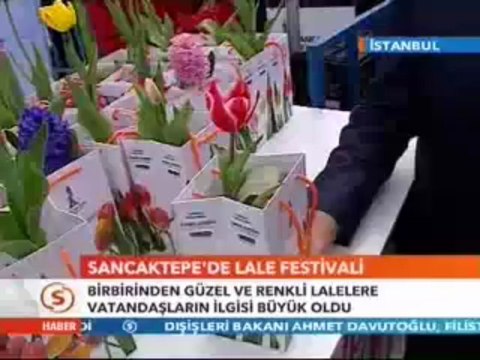 Sancaktepe'de Lale Festivali-Stv Haber