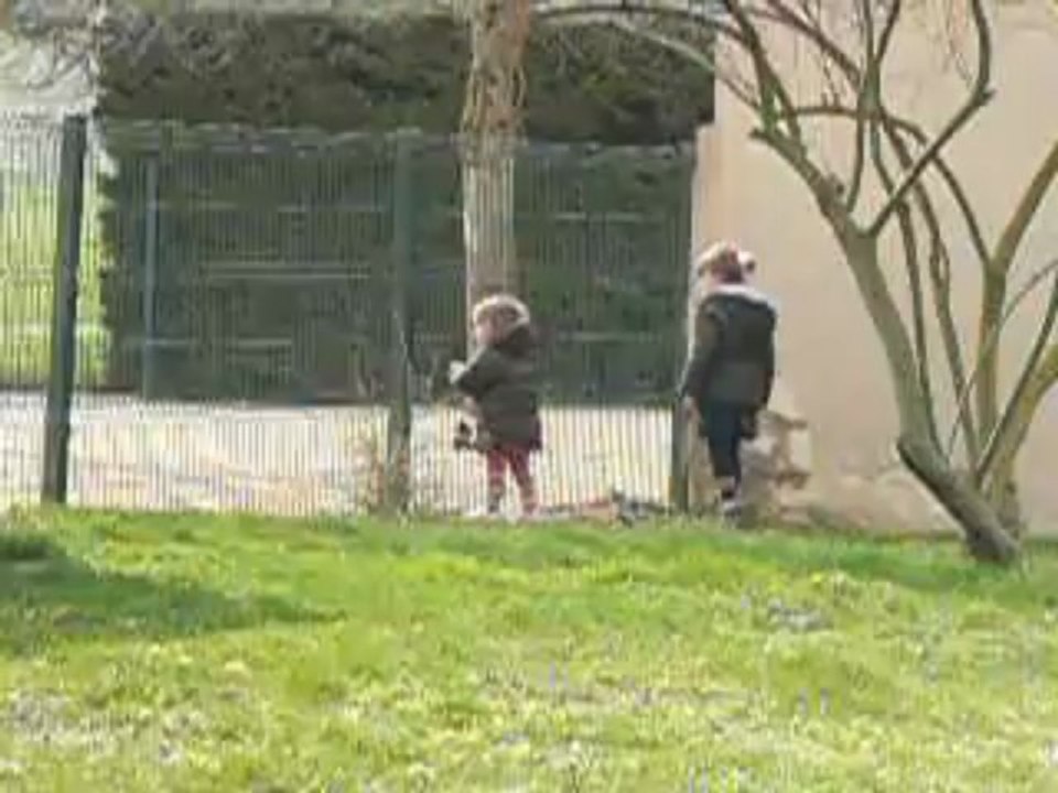 à la recherche des oeufs