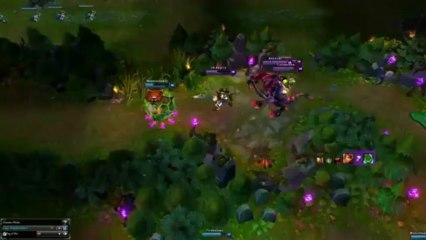 Udyr la savonette - League of Legends