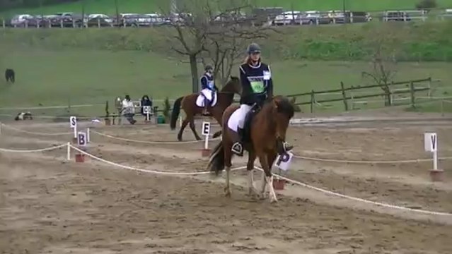 Auriane et Lulu dressage CCE Club 2 Chateauneuf
