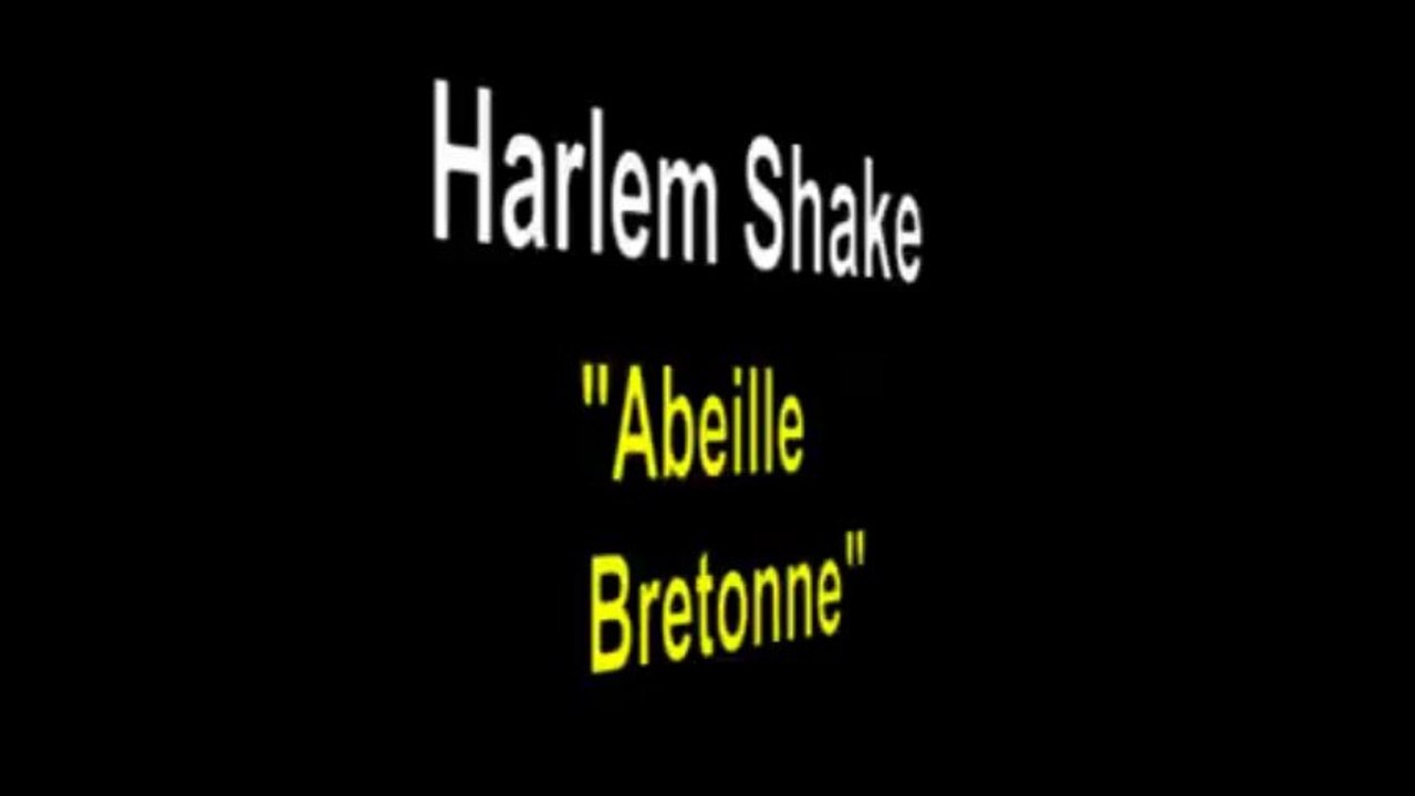 Harlem shake video abeille Bretonne